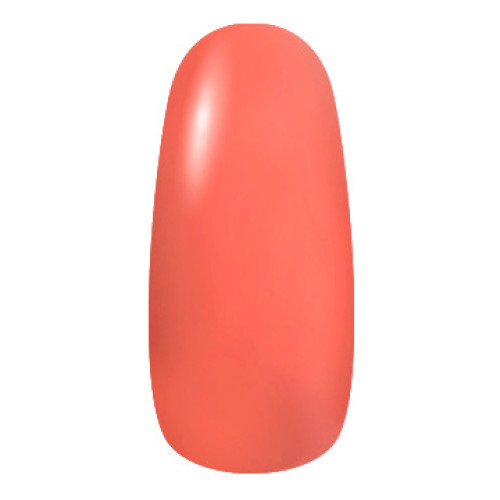 珊瑚 Coral