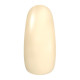 玉米絲綢 CornSilk