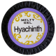風信子 Hyachinth