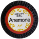 海葵紅 Anemone