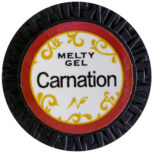 康乃馨 Carnation